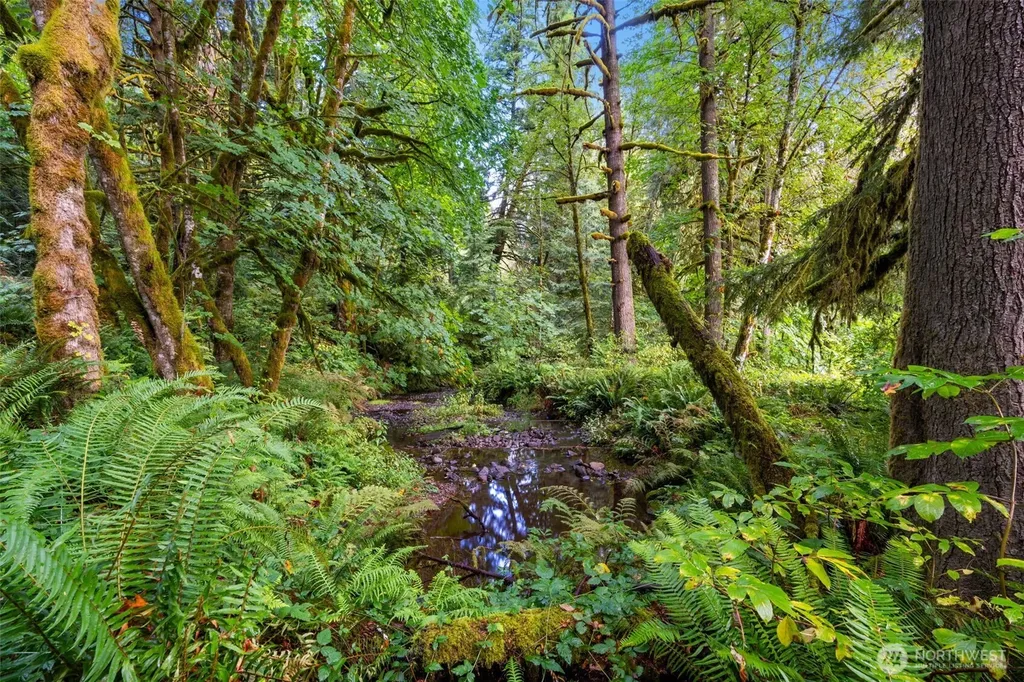 0 NE Cedar Creek Road Woodland WA 98674