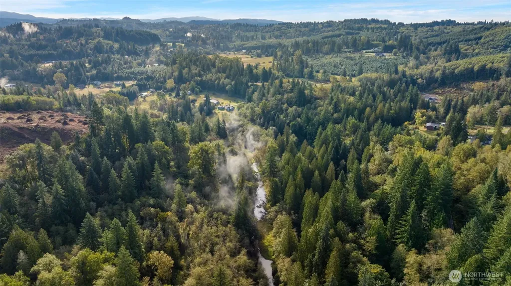 0 NE Cedar Creek Road Woodland WA 98674