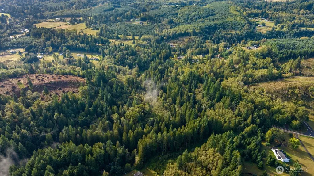 0 NE Cedar Creek Road Woodland WA 98674