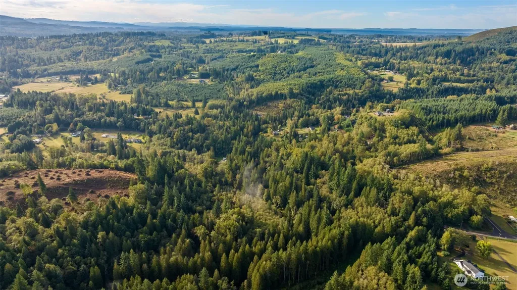 0 NE Cedar Creek Road Woodland WA 98674