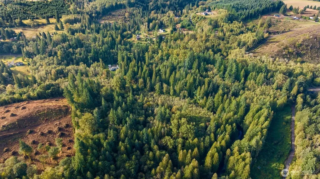 0 NE Cedar Creek Road Woodland WA 98674