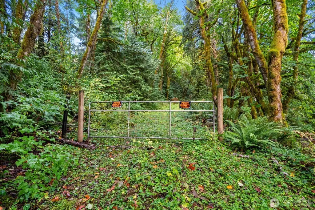 0 NE Cedar Creek Road Woodland WA 98674