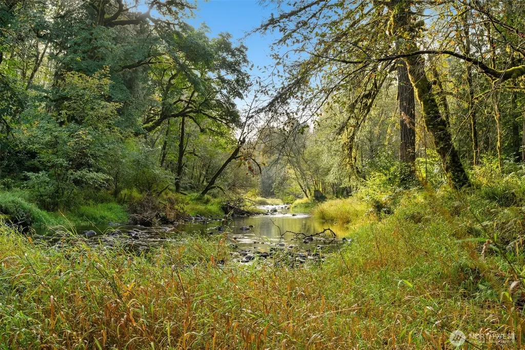 0 NE Cedar Creek Road Woodland WA 98674