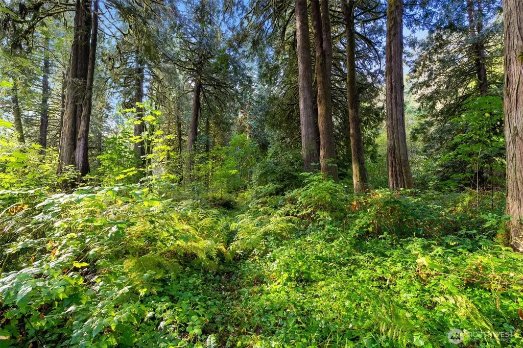 0 NE Cedar Creek Road Woodland WA 98674