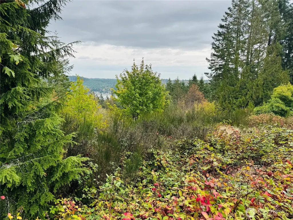 181 E Rainier Court Allyn WA 98524