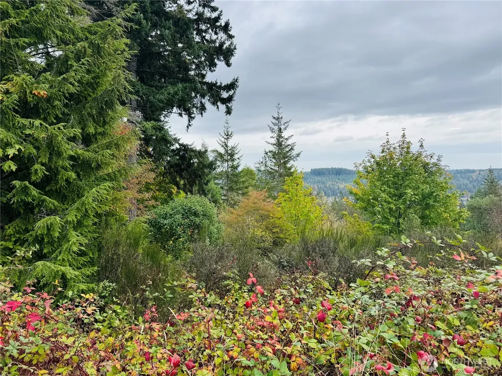 181 E Rainier Court Allyn WA 98524
