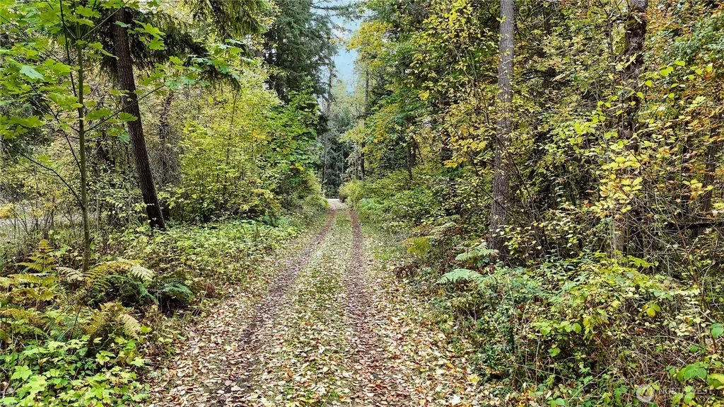 19836 161st Way SE Yelm WA 98597