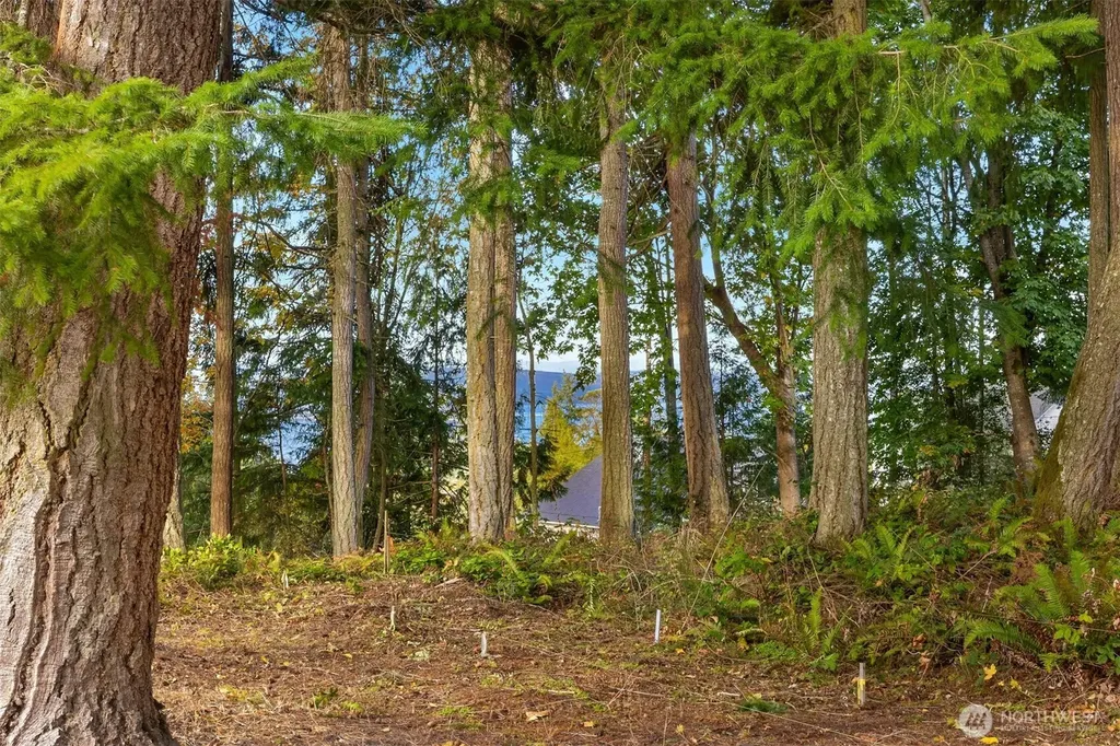 34464 Bridge View Drive NE Kingston WA 98346