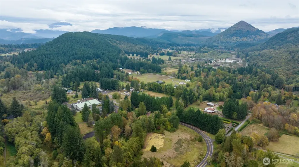 0 NE Yale Bridge Road Amboy WA 98601