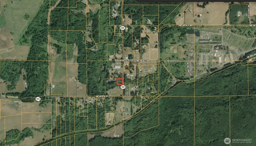 0 NE Yale Bridge Road Amboy WA 98601