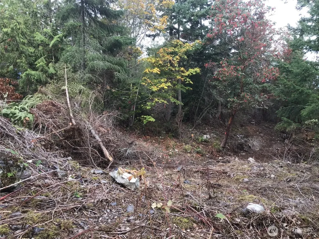 11939 New Morning Drive Anacortes WA 98221