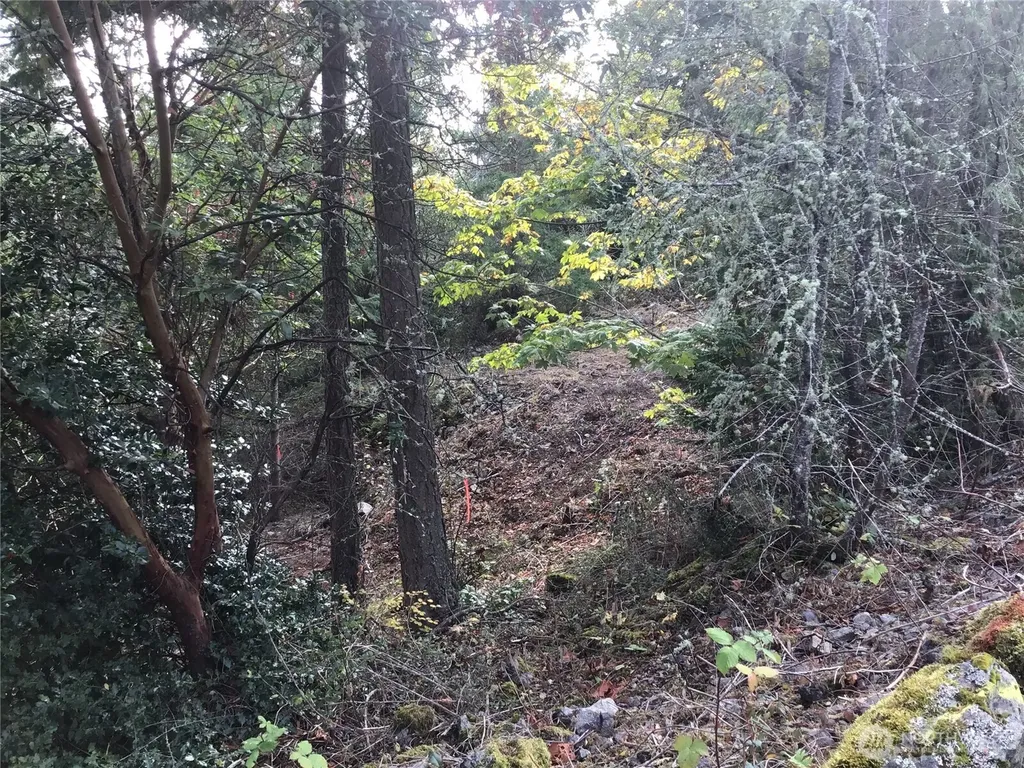 11939 New Morning Drive Anacortes WA 98221
