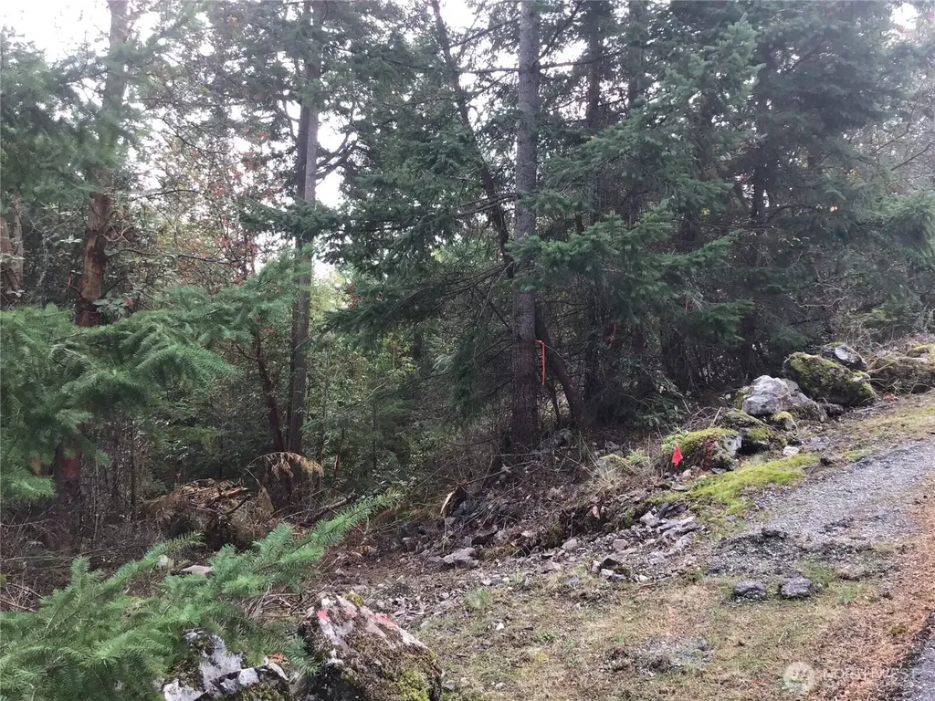 11939 New Morning Drive Anacortes WA 98221