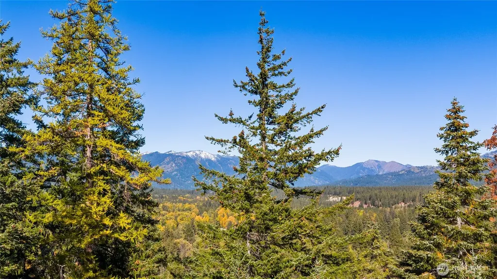 430 Iron Monarch Loop Cle Elum WA 98922