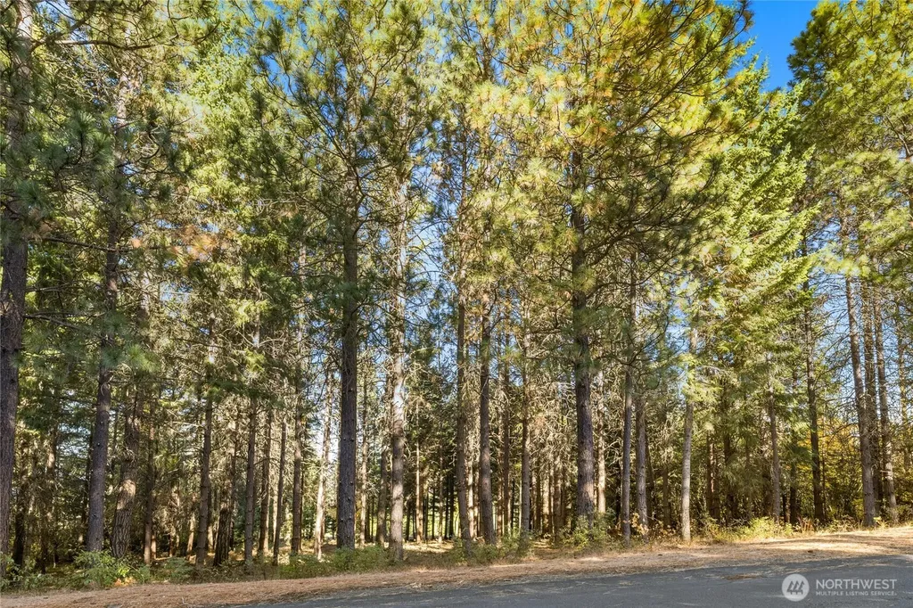 430 Iron Monarch Loop Cle Elum WA 98922