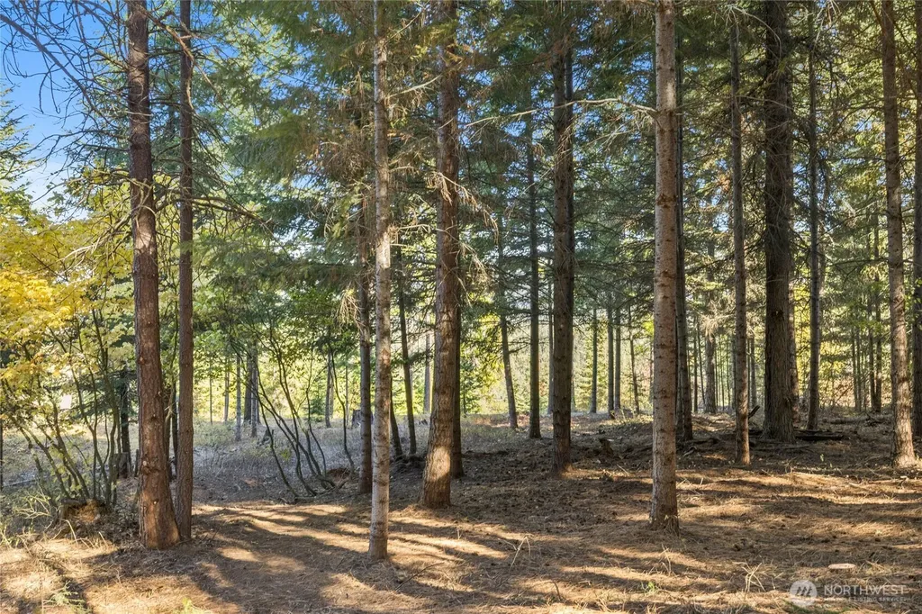430 Iron Monarch Loop Cle Elum WA 98922