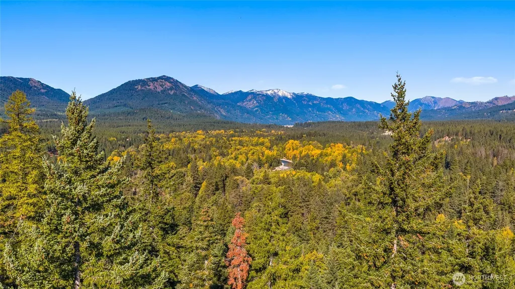 430 Iron Monarch Loop Cle Elum WA 98922