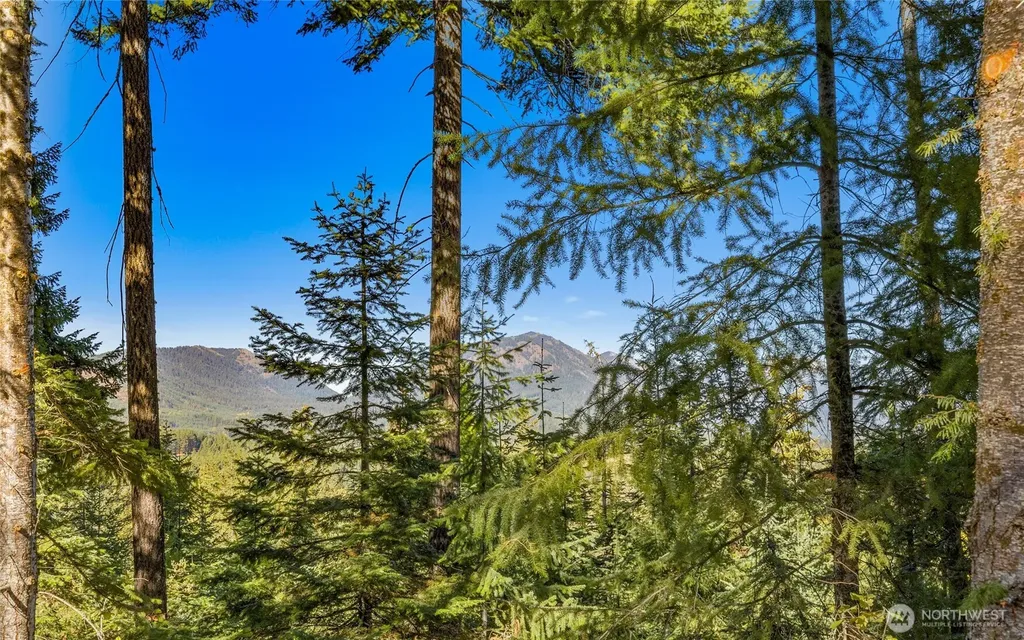 430 Iron Monarch Loop Cle Elum WA 98922