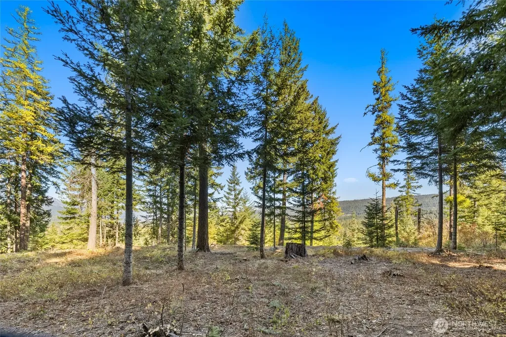 430 Iron Monarch Loop Cle Elum WA 98922
