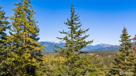 430 Iron Monarch Loop Cle Elum WA 98922