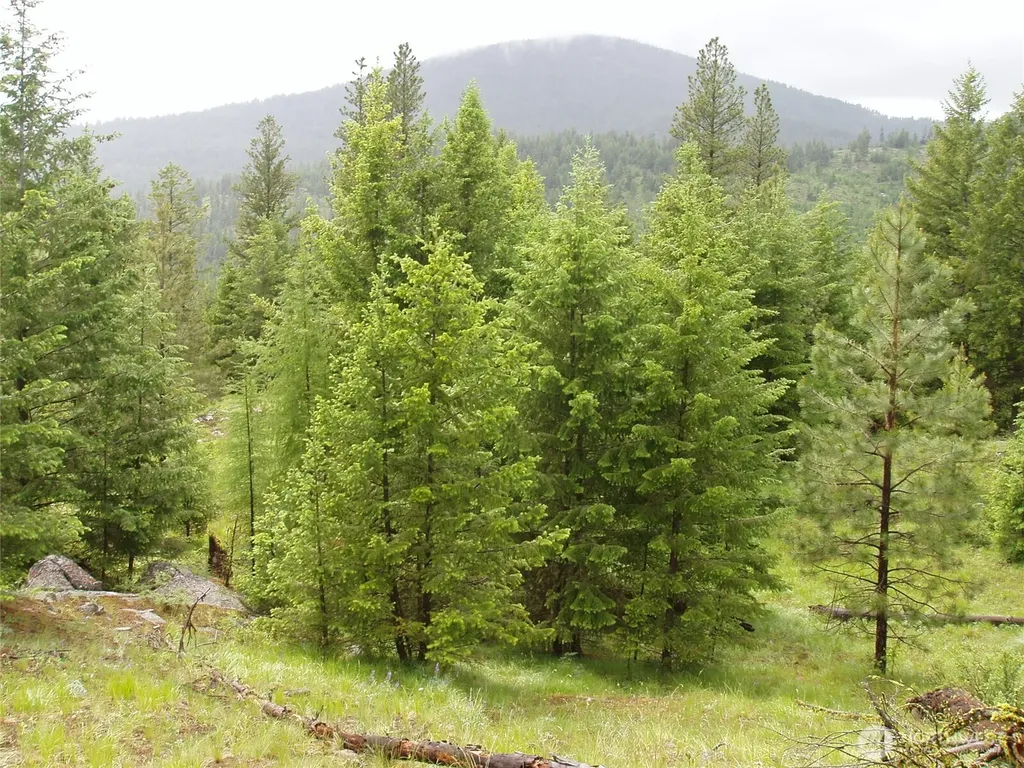 0 Turner Lake Road N Tonasket WA 98855