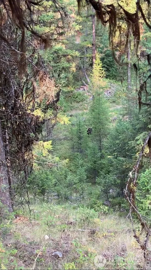 0 Turner Lake Road N Tonasket WA 98855