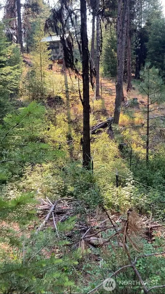 0 Turner Lake Road N Tonasket WA 98855