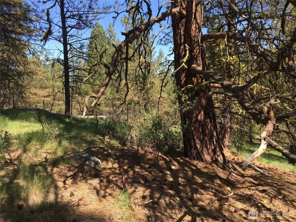 0 Turner Lake Road N Tonasket WA 98855