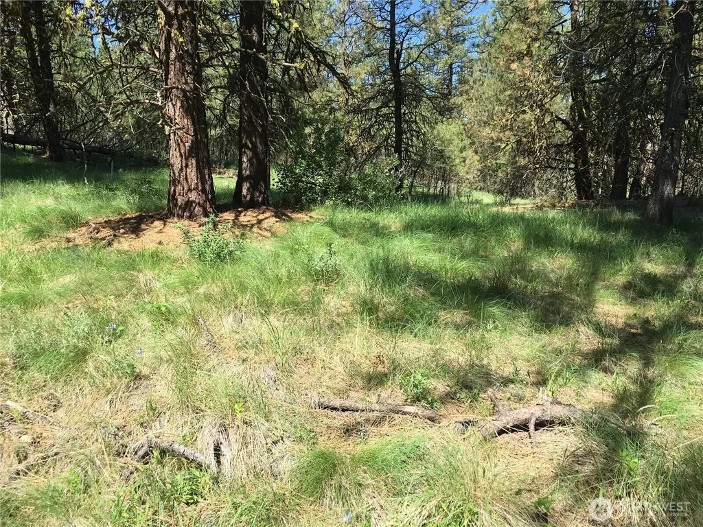 0 Turner Lake Road N Tonasket WA 98855