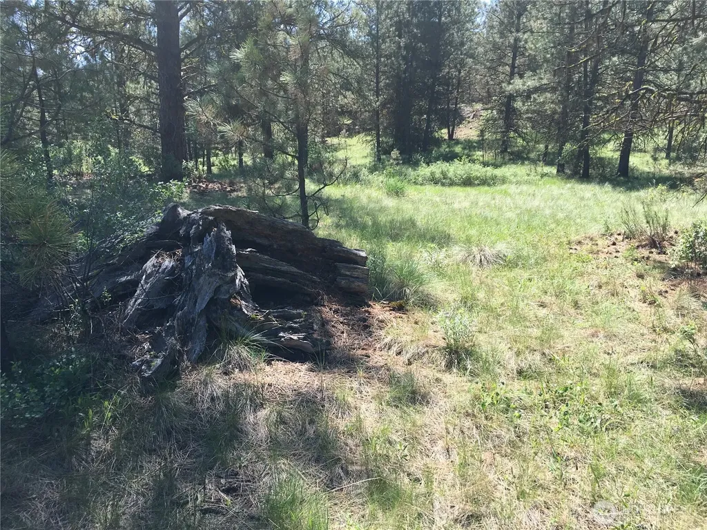 0 Turner Lake Road N Tonasket WA 98855