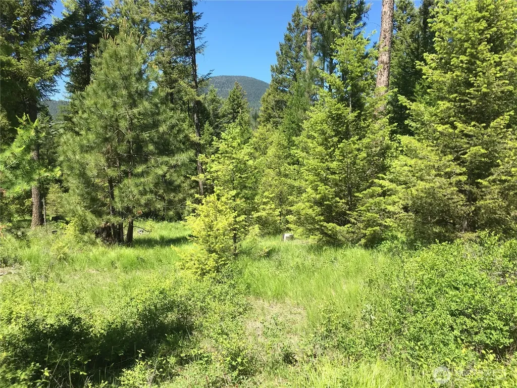 0 Turner Lake Road N Tonasket WA 98855