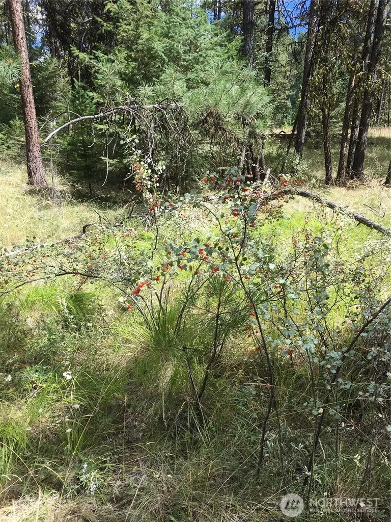0 Turner Lake Road N Tonasket WA 98855