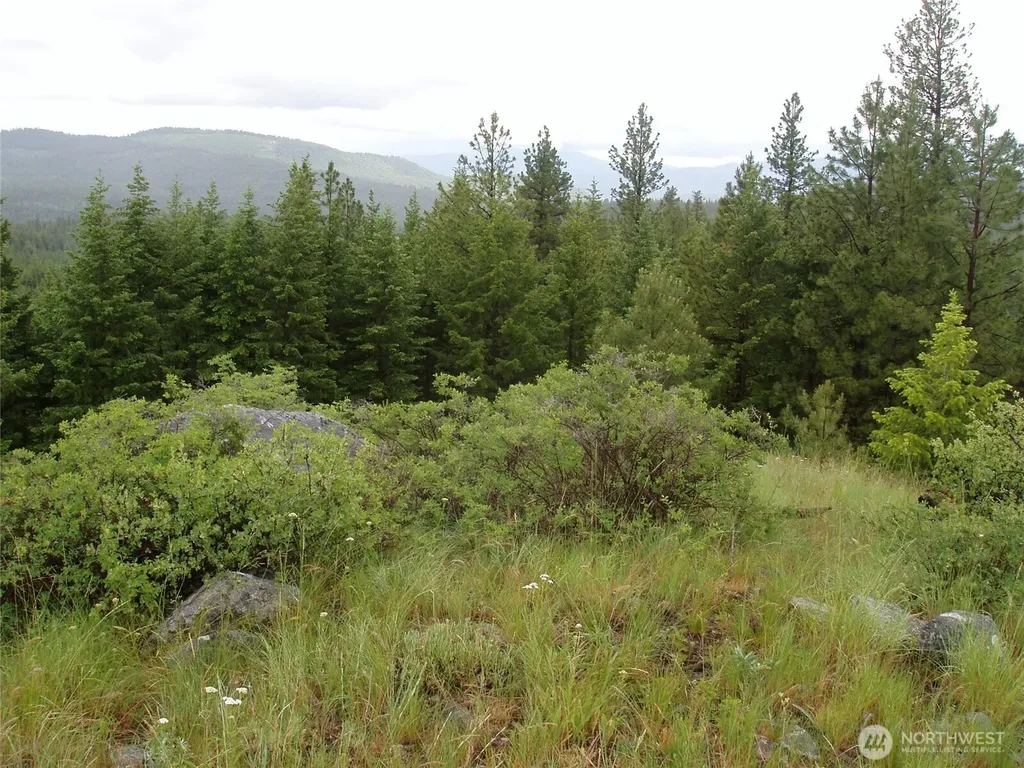 0 Turner Lake Road N Tonasket WA 98855