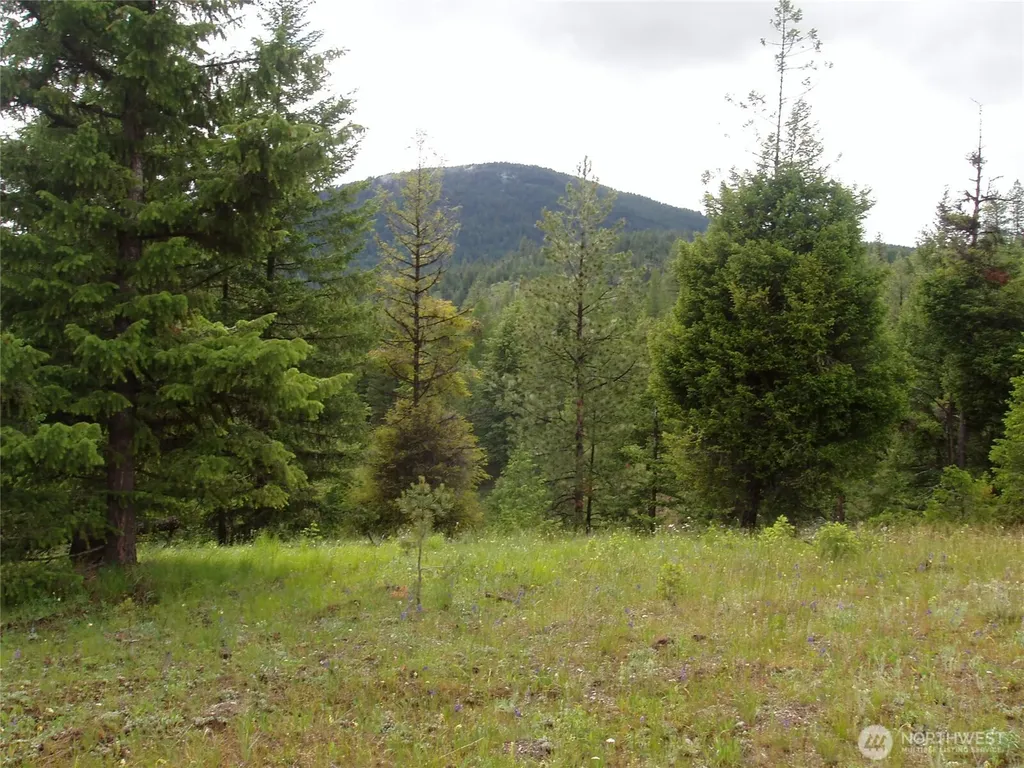 0 Turner Lake Road N Tonasket WA 98855