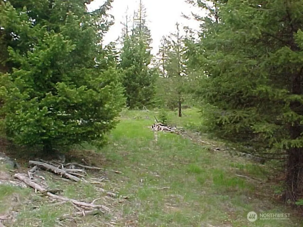 0 Turner Lake Road N Tonasket WA 98855