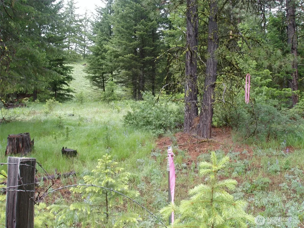 0 Turner Lake Road N Tonasket WA 98855