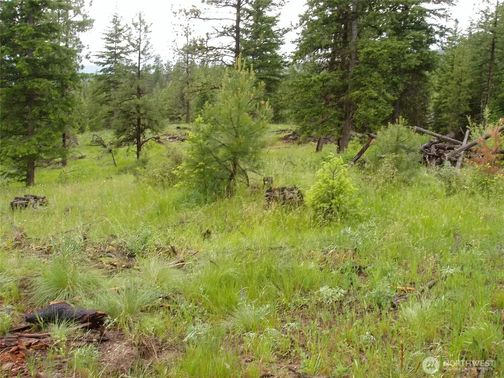 0 Turner Lake Road N Tonasket WA 98855