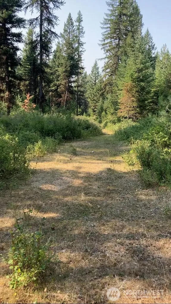 0 Turner Lake Road N Tonasket WA 98855