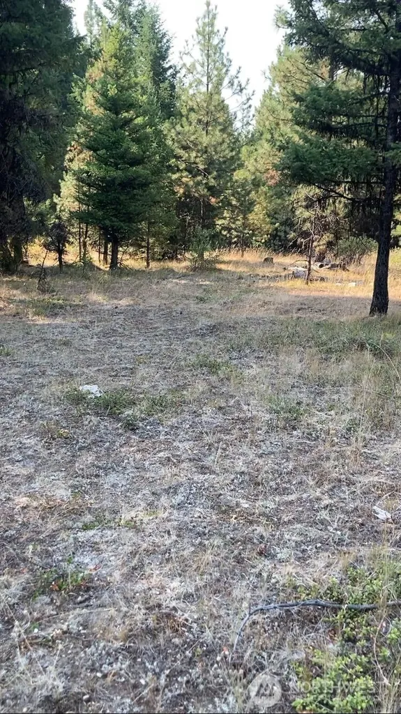 0 Turner Lake Road N Tonasket WA 98855