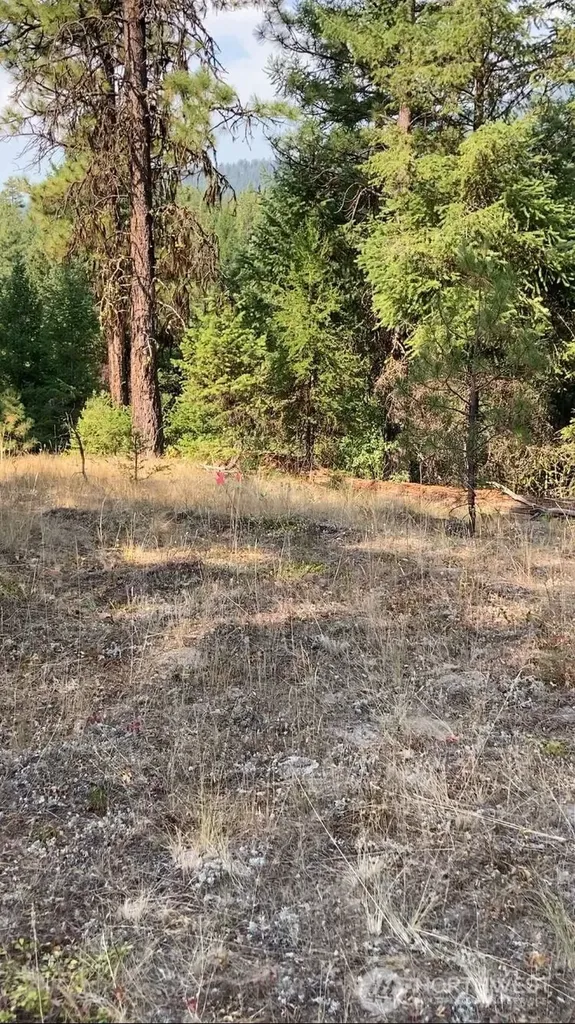 0 Turner Lake Road N Tonasket WA 98855