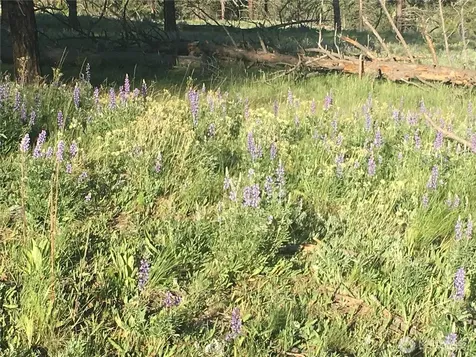0 Turner Lake Road N Tonasket WA 98855