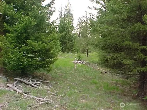 0 Turner Lake Road N Tonasket WA 98855