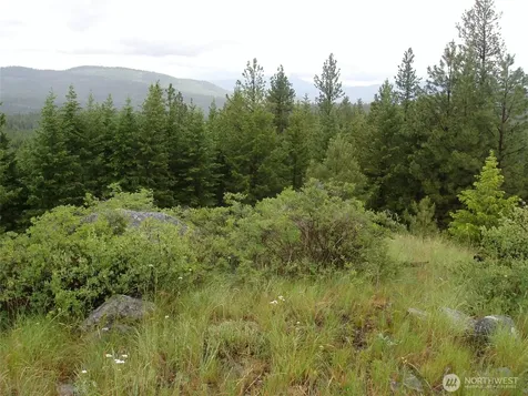 0 Turner Lake Road N Tonasket WA 98855