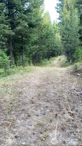 0 Turner Lake Road N Tonasket WA 98855