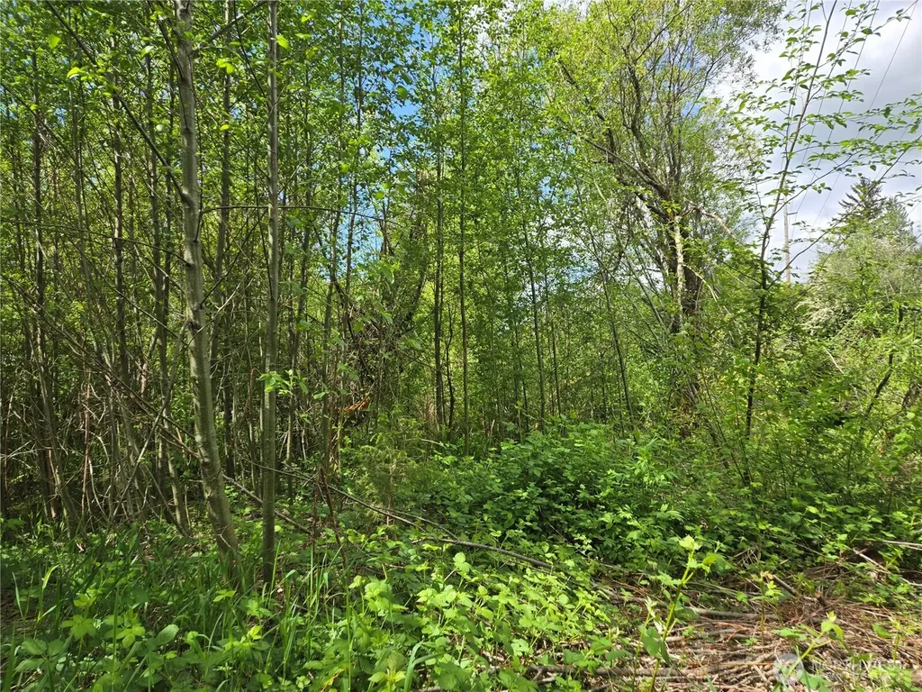 11 6th Avenue SE Issaquah WA 98027