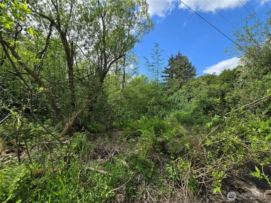 11 6th Avenue SE Issaquah WA 98027