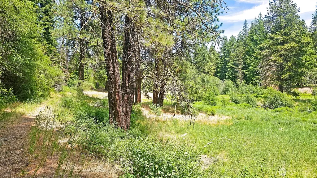 81 Williams Creek Cle Elum WA 98922
