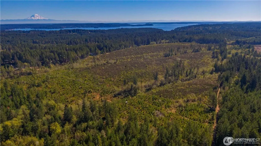 0 154th Avenue NW Gig Harbor WA 98329