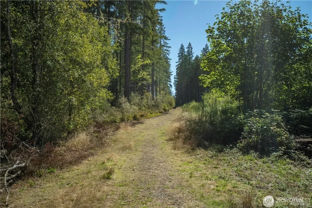 0 154th Avenue NW Gig Harbor WA 98329