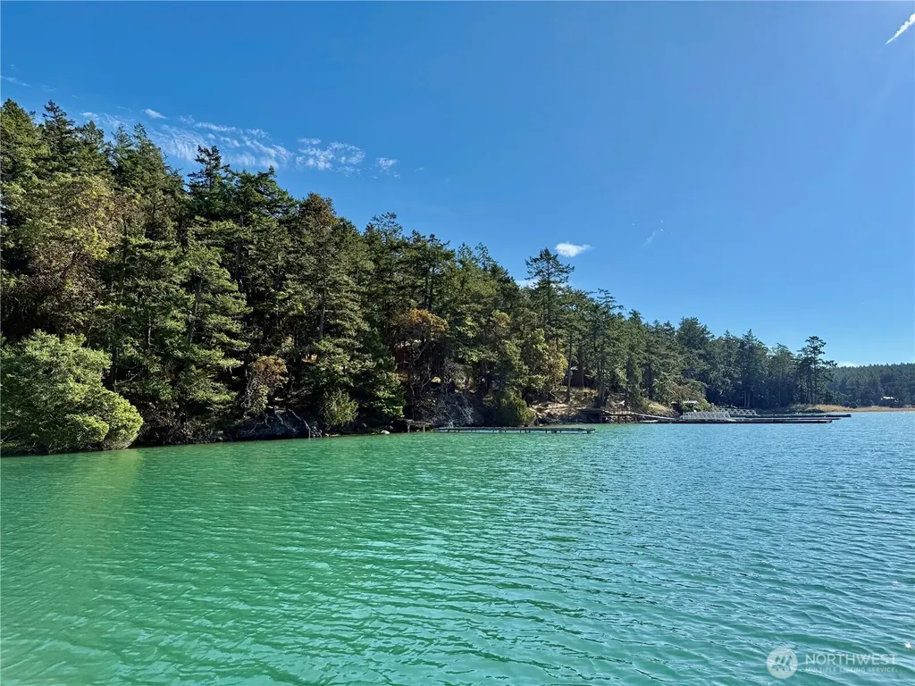 0 Lot 25 Henry Island Henry Island WA 98250